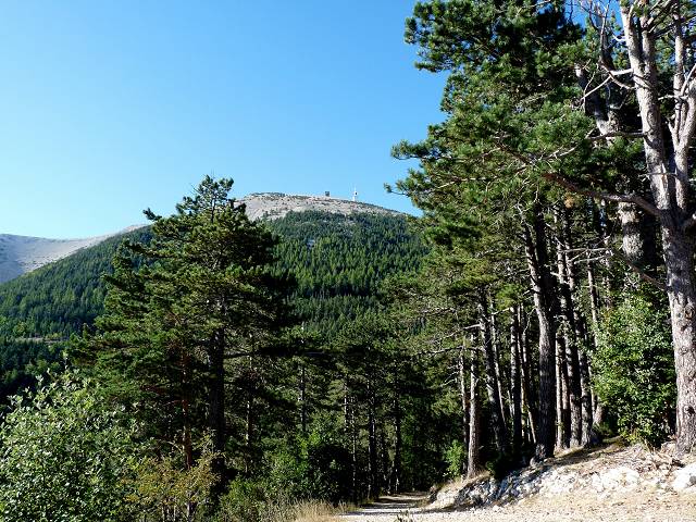 Ventoux
