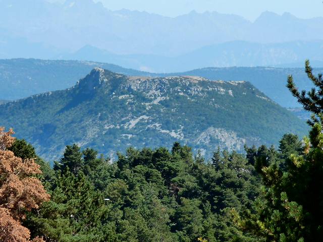 Mévouillon