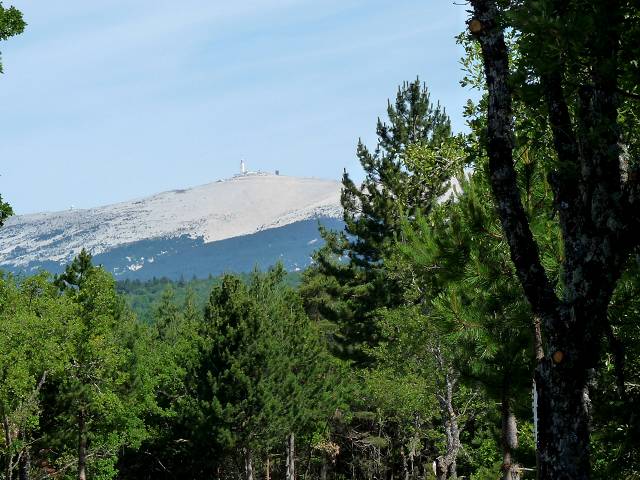 Ventoux