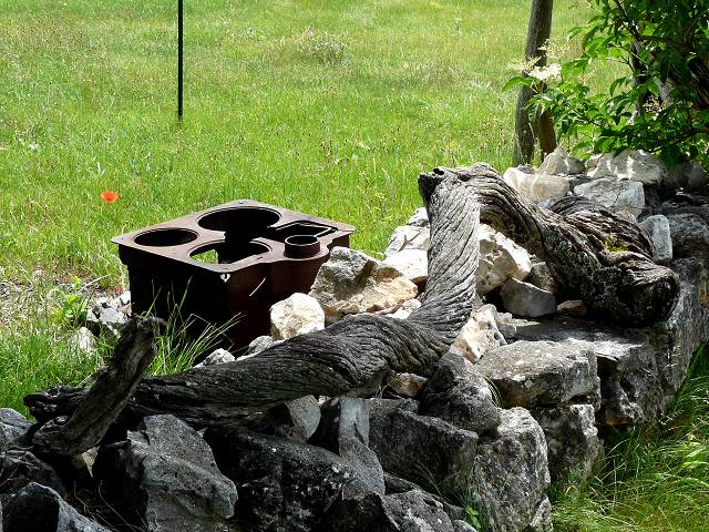 Nature morte