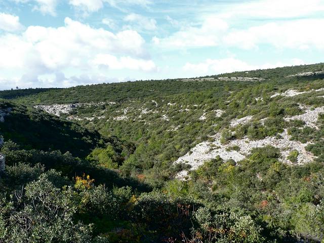 Mur de la Peste