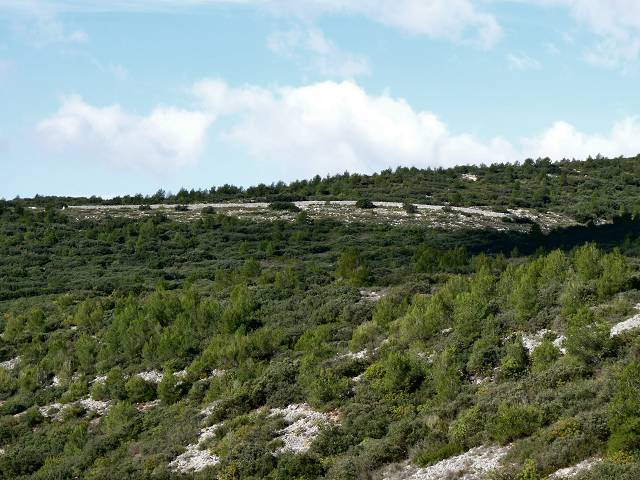 Mur de la Peste