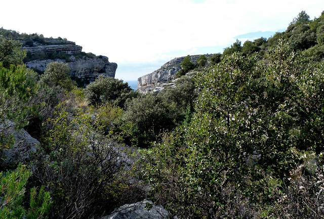 Vaucluse
