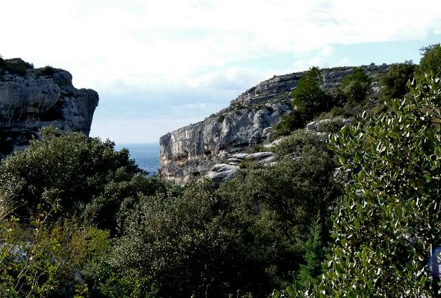 Vaucluse