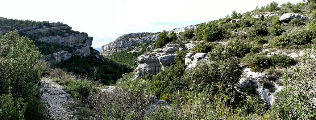 Vaucluse