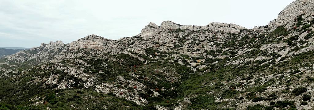 Alpilles