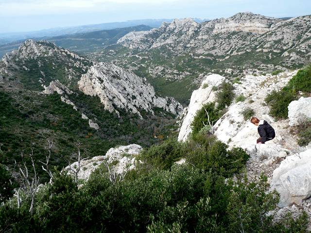 Alpilles