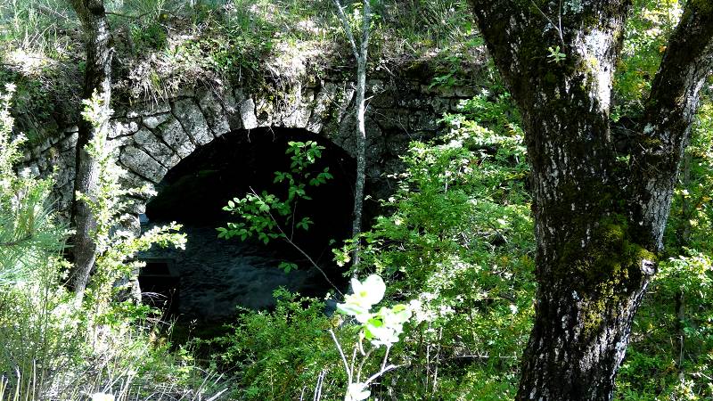 Rocsalire