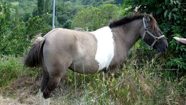 La Grangette