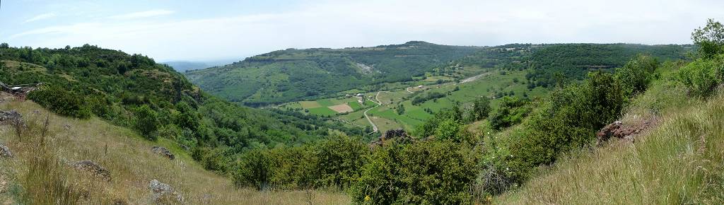 vue
