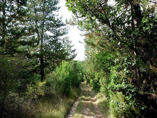 sentier