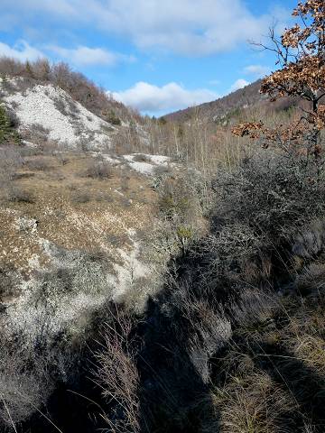 vallon