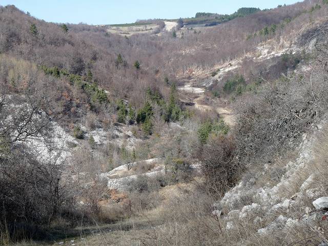 vallon