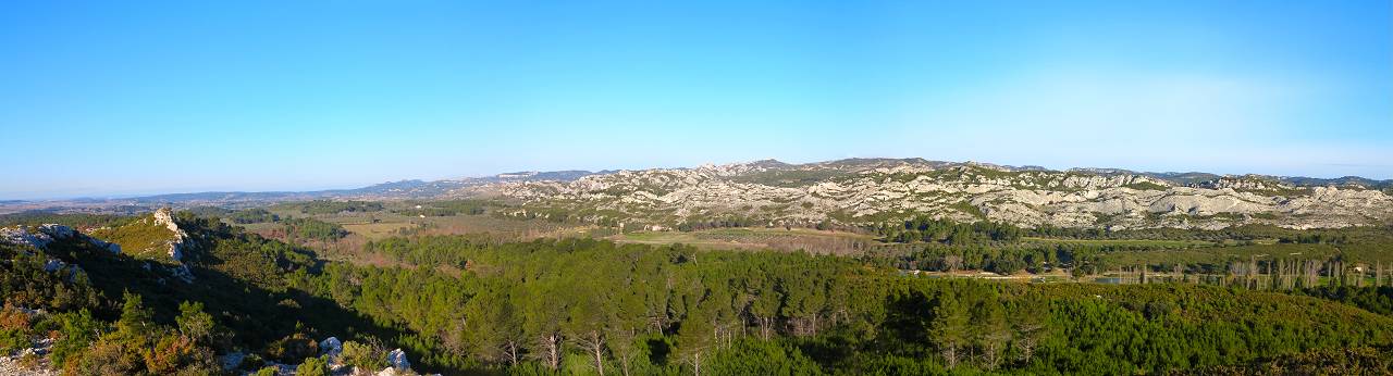 vue