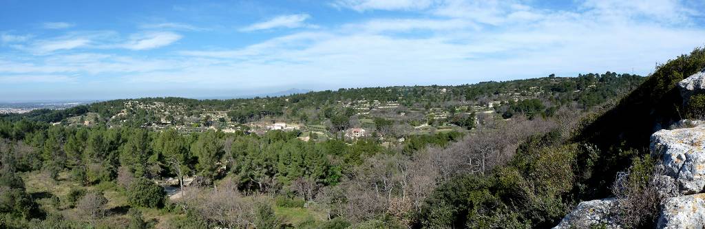 vue