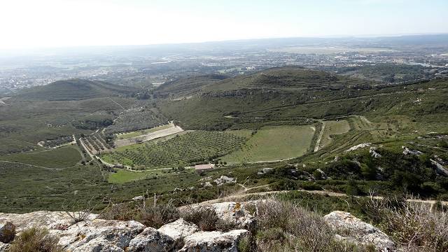 vue