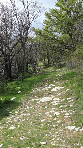chemin