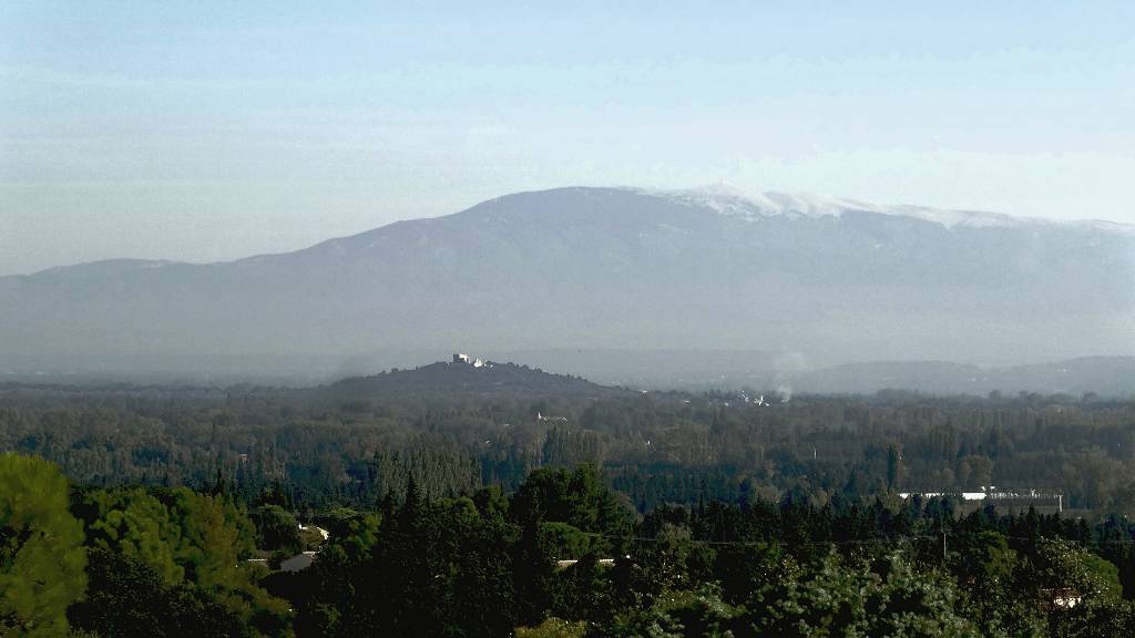 vue