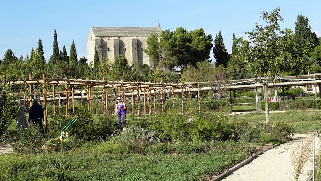 Jardin Romain