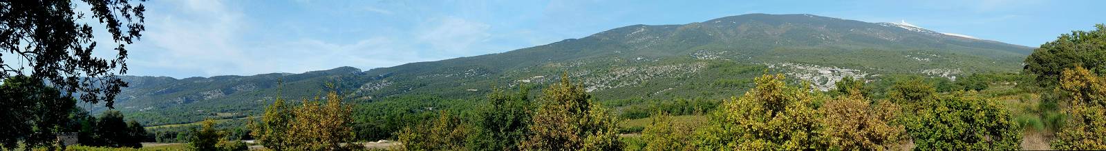 vue