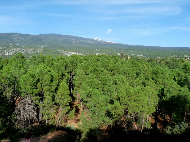 vue