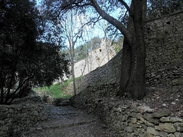 monte