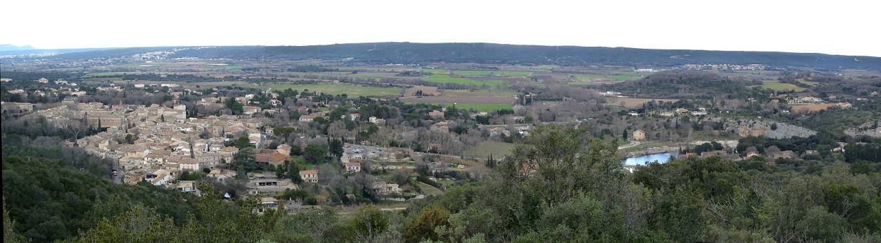 Collias