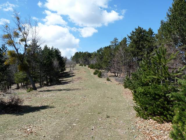 Crte est du Ventoux