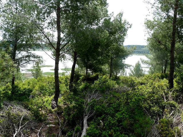 Etang du Pourra