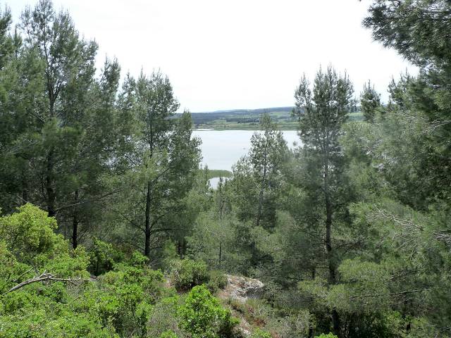 Etang du Pourra