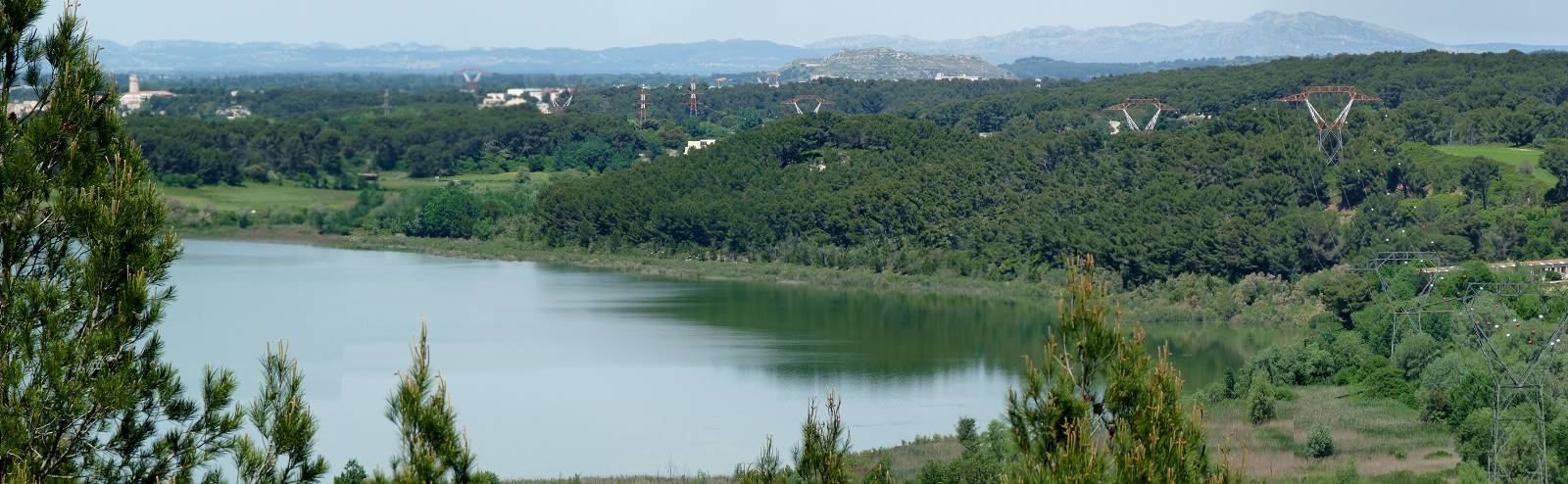 Etang de Citis