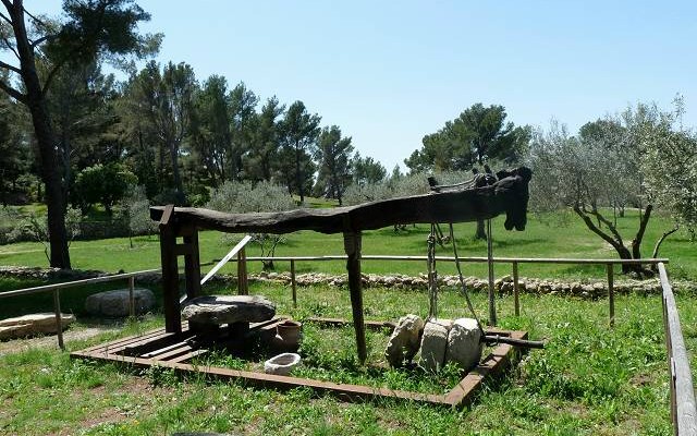 Oppidum