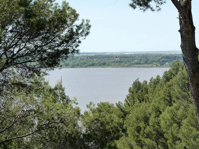 Etang de Citis