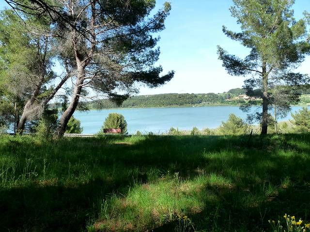 Etang de Citis